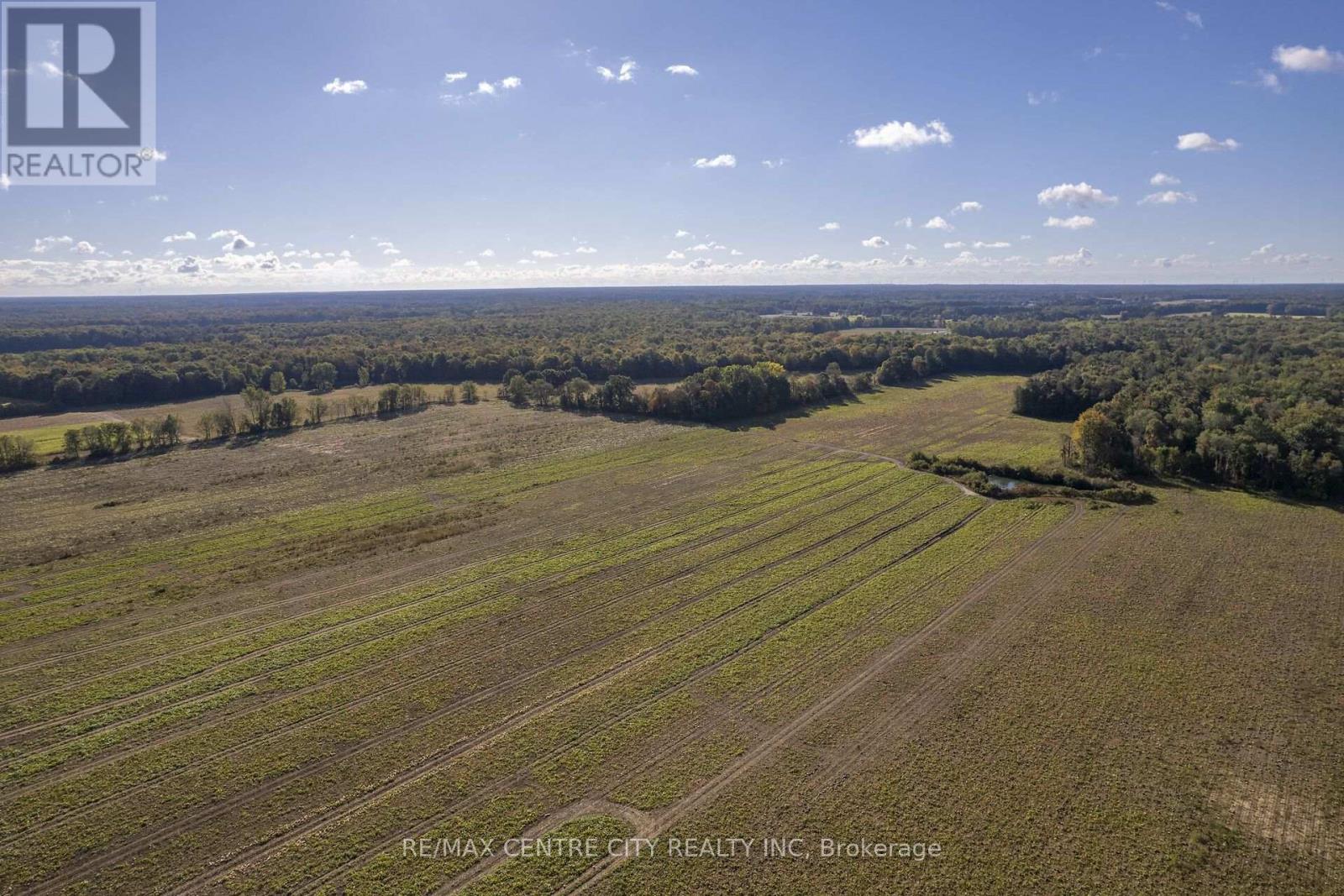 8916 Coyle Road, Bayham, Ontario  N4G 4G9 - Photo 6 - X14030170