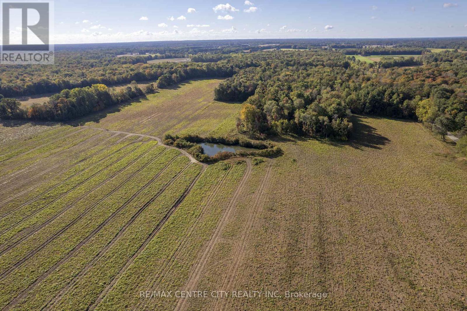 8916 Coyle Road, Bayham, Ontario  N4G 4G9 - Photo 8 - X14030170