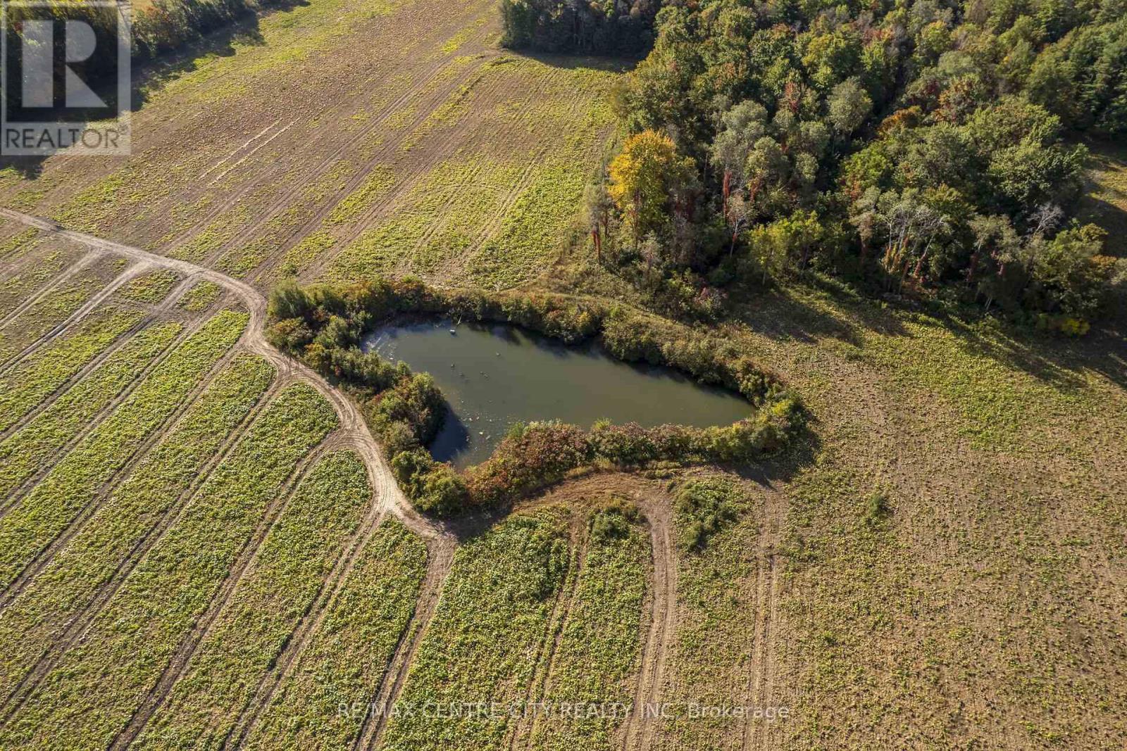 8916 Coyle Road, Bayham, Ontario  N4G 4G9 - Photo 9 - X14030170