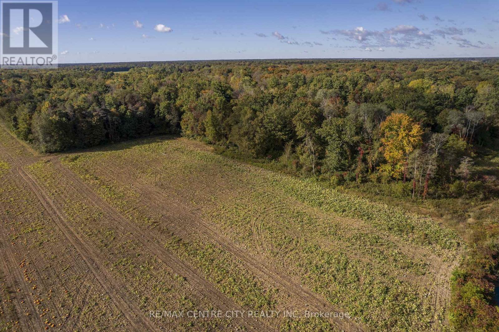 8916 Coyle Road, Bayham, Ontario N4G 4G9 - Photo 19 - X14030172