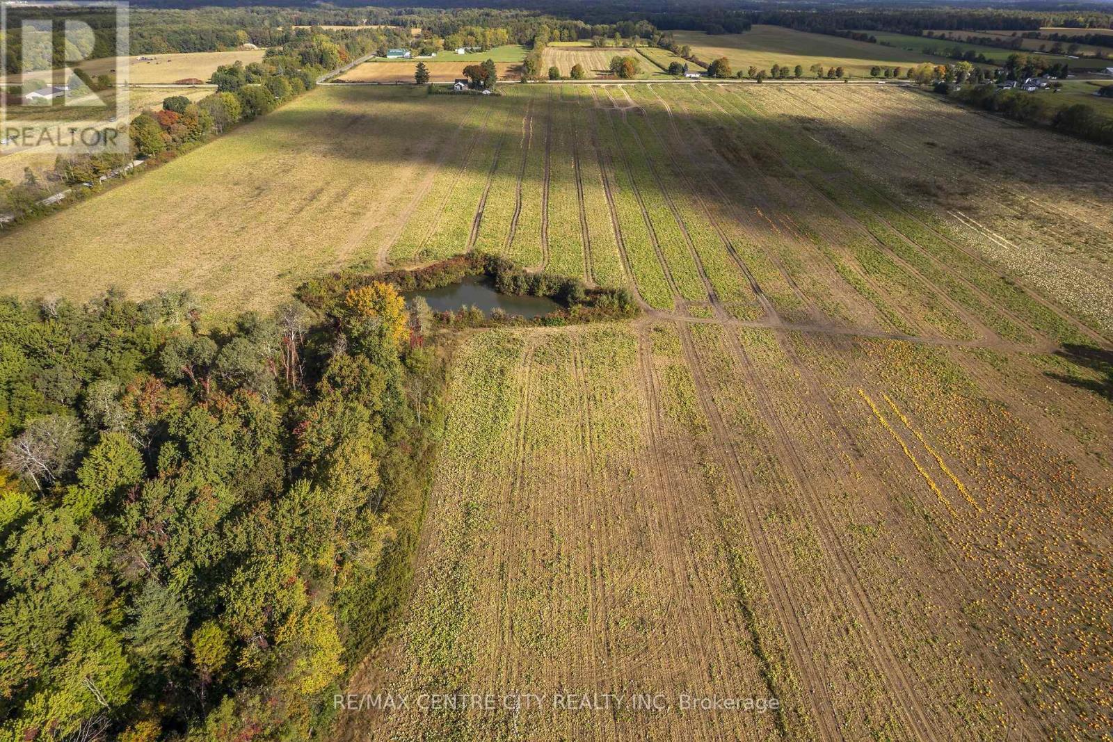8916 Coyle Road, Bayham, Ontario N4G 4G9 - Photo 33 - X14030172