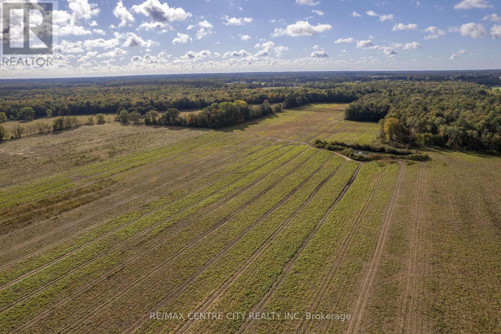 8916 Coyle Road, Bayham, Ontario N4G 4G9 - Photo 37 - X14030172