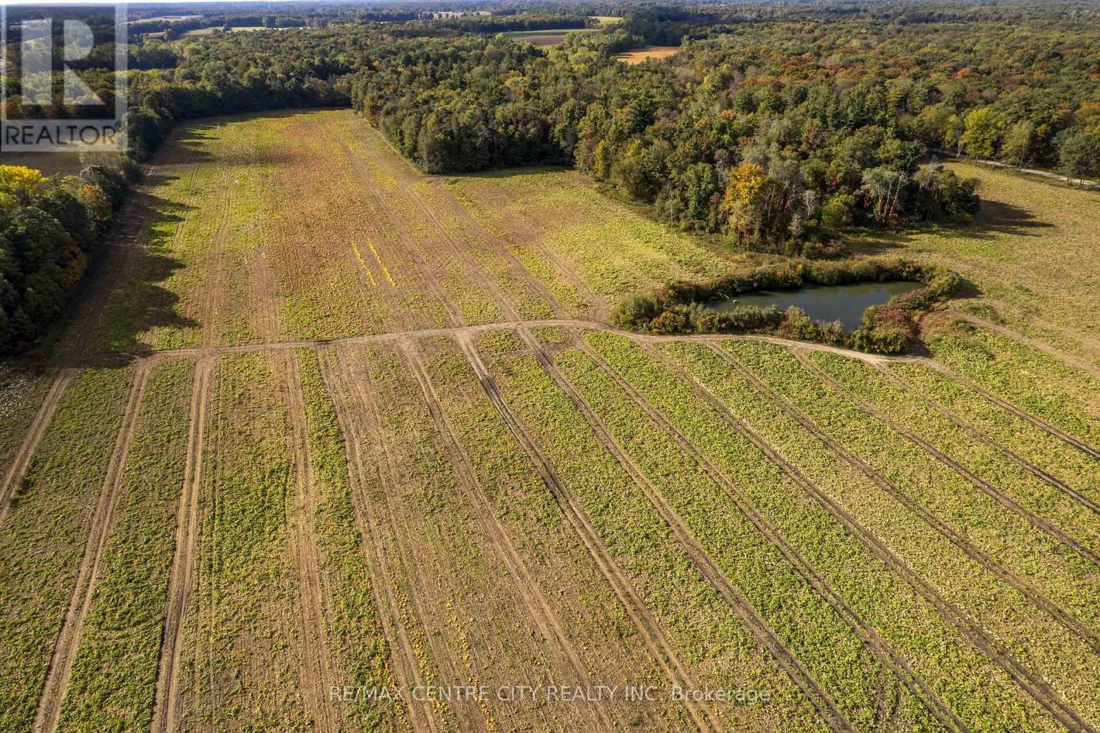 8916 Coyle Road, Bayham, Ontario N4G 4G9 - Photo 36 - X14030172
