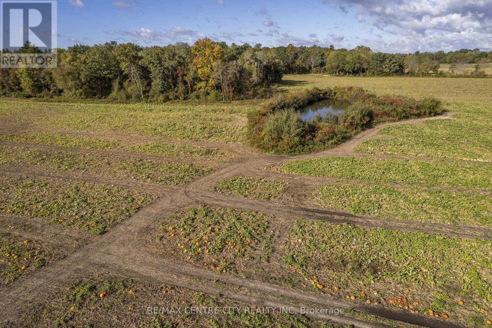 8916 Coyle Road, Bayham, Ontario N4G 4G9 - Photo 29 - X14030172