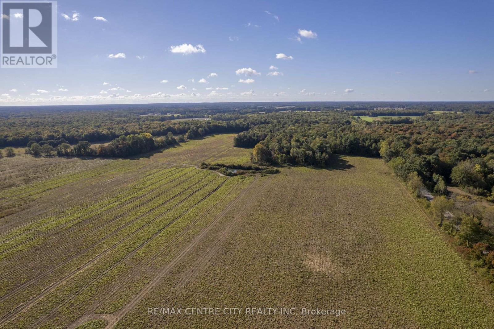 8916 Coyle Road, Bayham, Ontario N4G 4G9 - Photo 7 - X14030172
