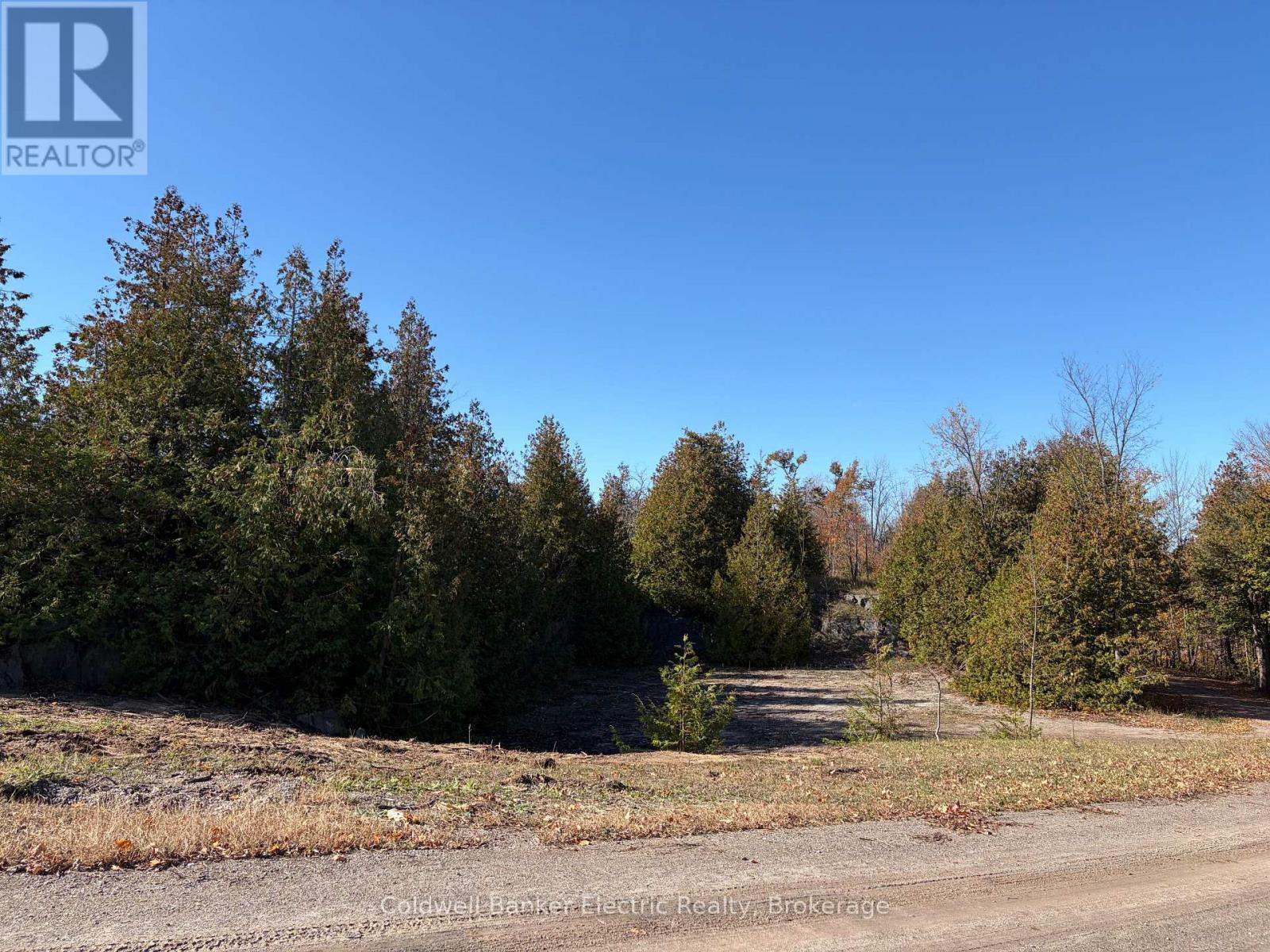 237 Tower Road, Madoc, Ontario  K0K 1Y0 - Photo 4 - X14092974