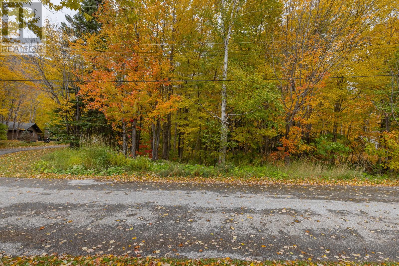 18A Forest Drive, Steady Brook — photo 6