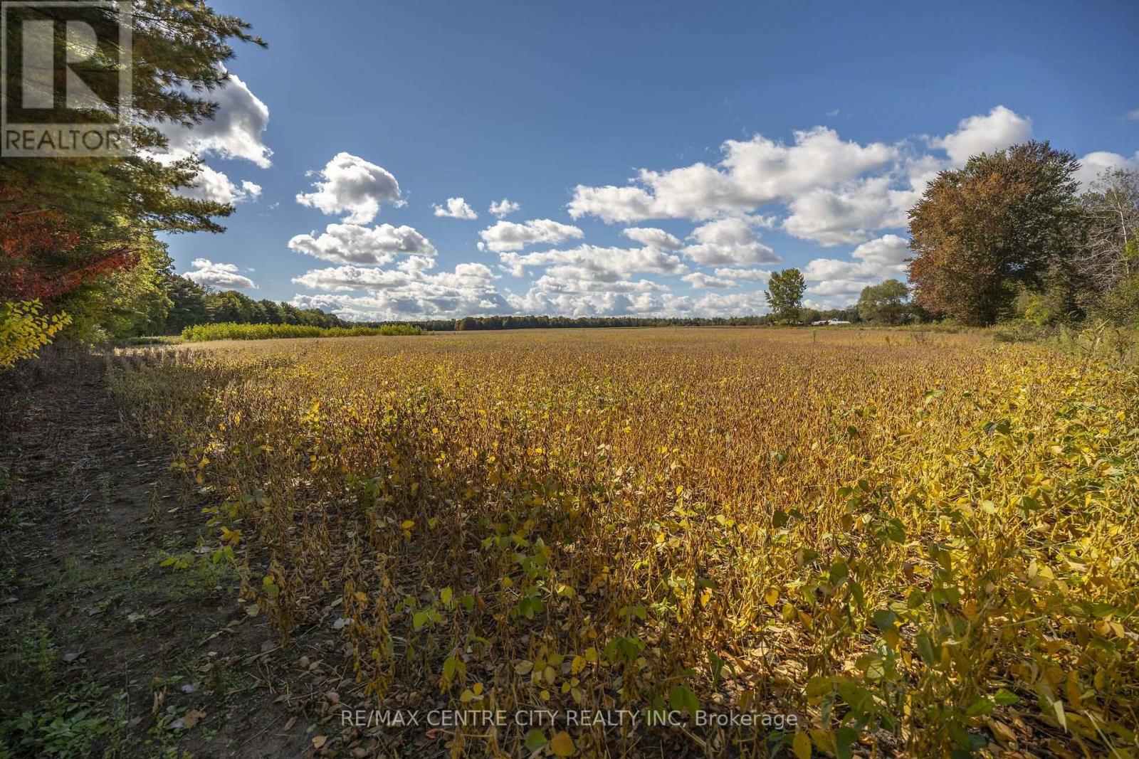 Pt Lt 140 & 141 Colonel Talbot Road, Norfolk, Ontario  N4G 4G9 - Photo 49 - X14030174