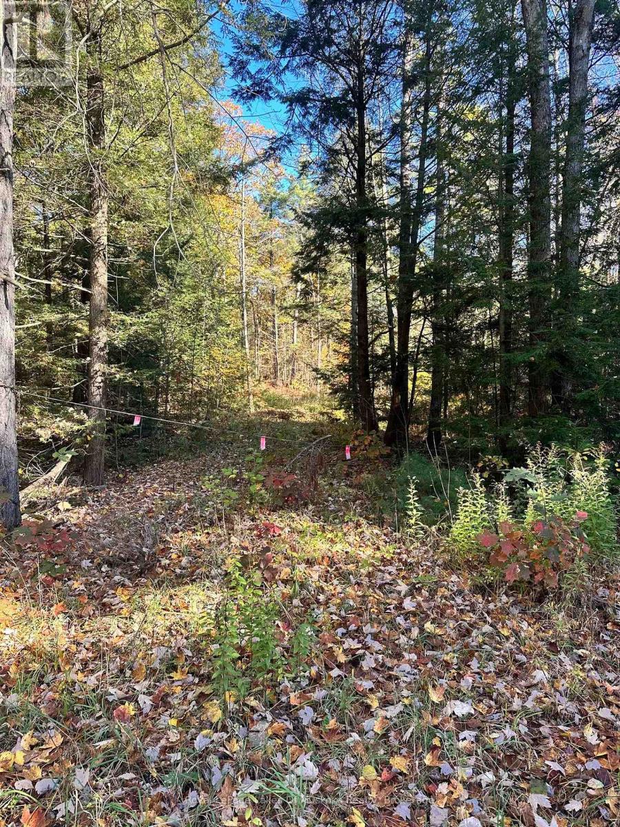 1101 DOE LAKE ROAD, gravenhurst (muskoka (s)), Ontario