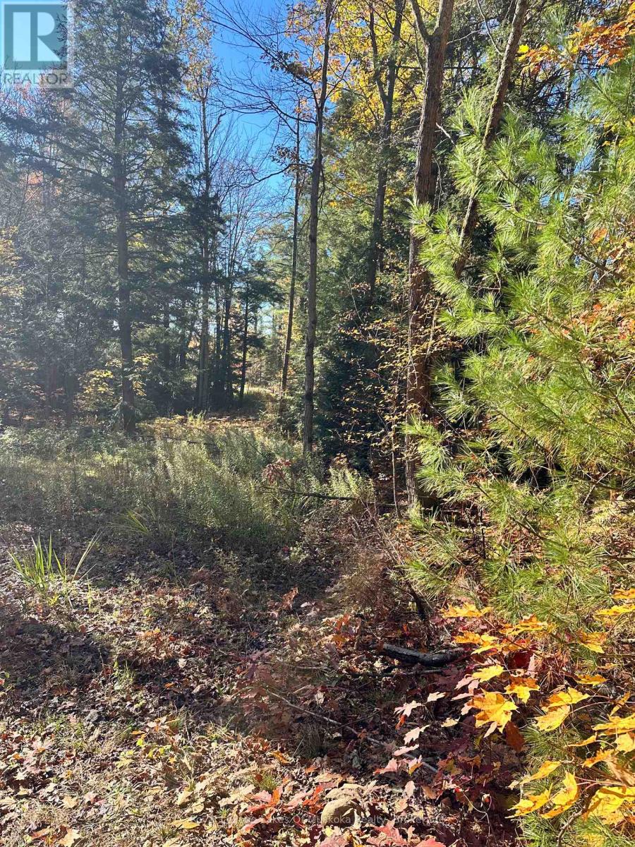 1101 Doe Lake Road, Gravenhurst, Ontario  P1P 1R3 - Photo 7 - X14093092