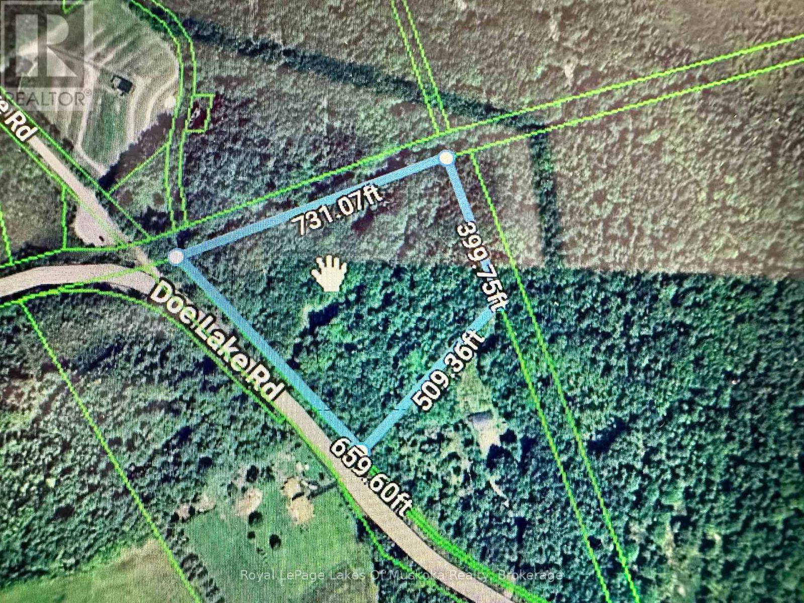 1101 Doe Lake Road, Gravenhurst, Ontario  P1P 1R3 - Photo 8 - X14093092