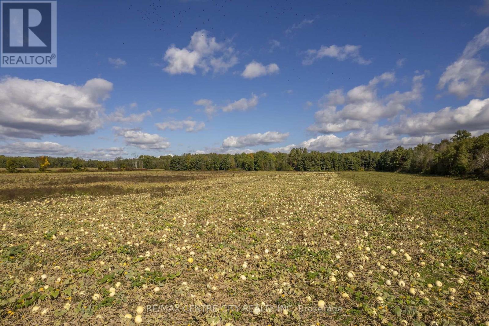 Pt Lt 140 & 141 Colonel Talbot Road, Norfolk, Ontario  N4G 4G9 - Photo 34 - X14030176