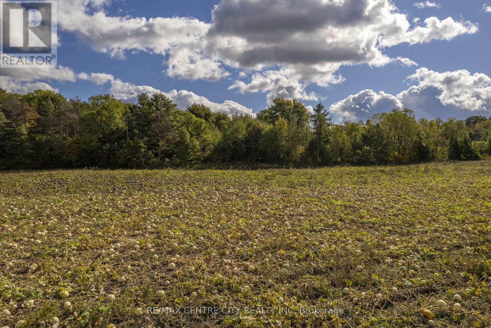 Pt Lt 140 & 141 Colonel Talbot Road, Norfolk, Ontario  N4G 4G9 - Photo 38 - X14030176