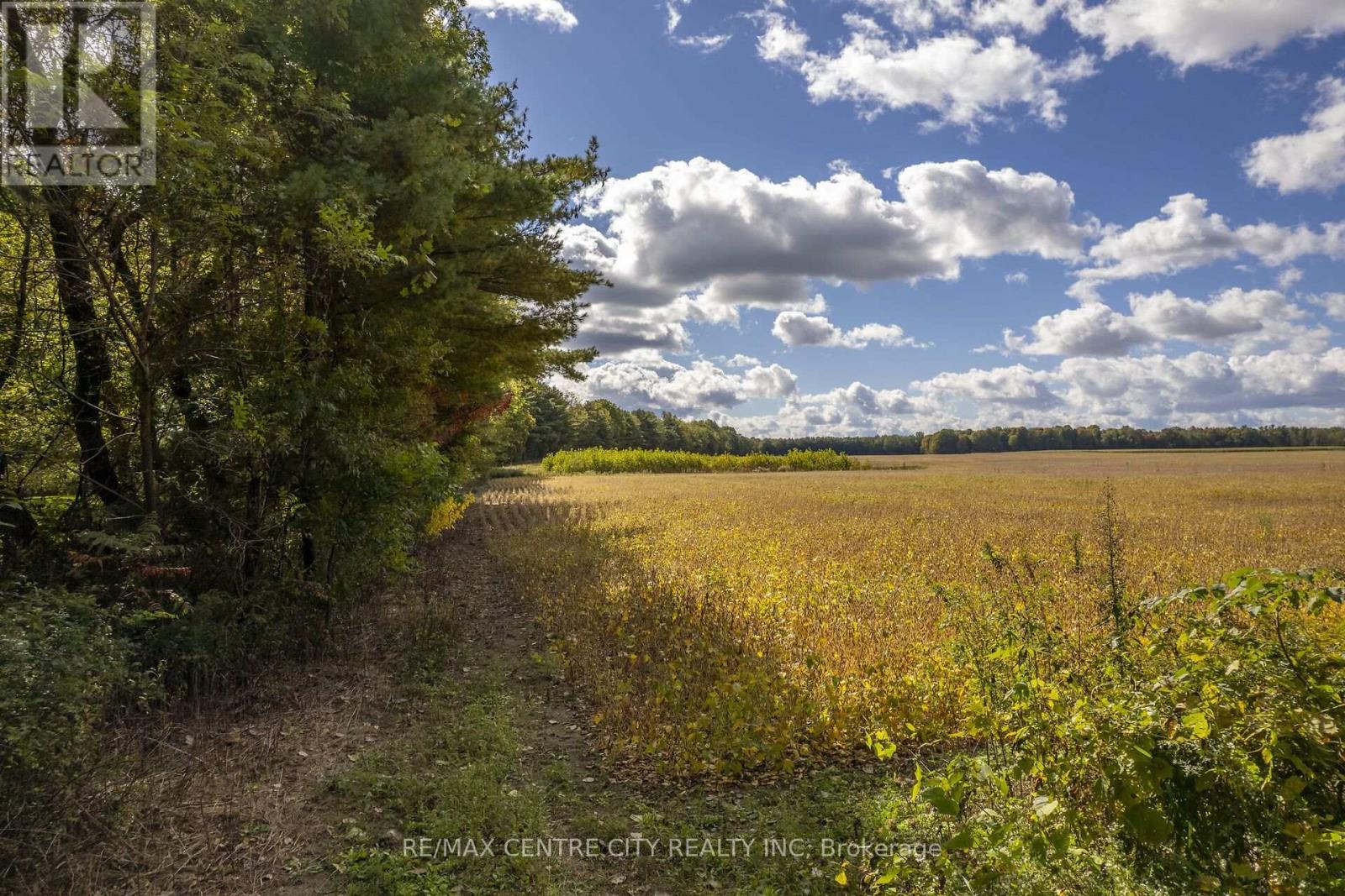 Pt Lt 140 & 141 Colonel Talbot Road, Norfolk, Ontario  N4G 4G9 - Photo 43 - X14030176