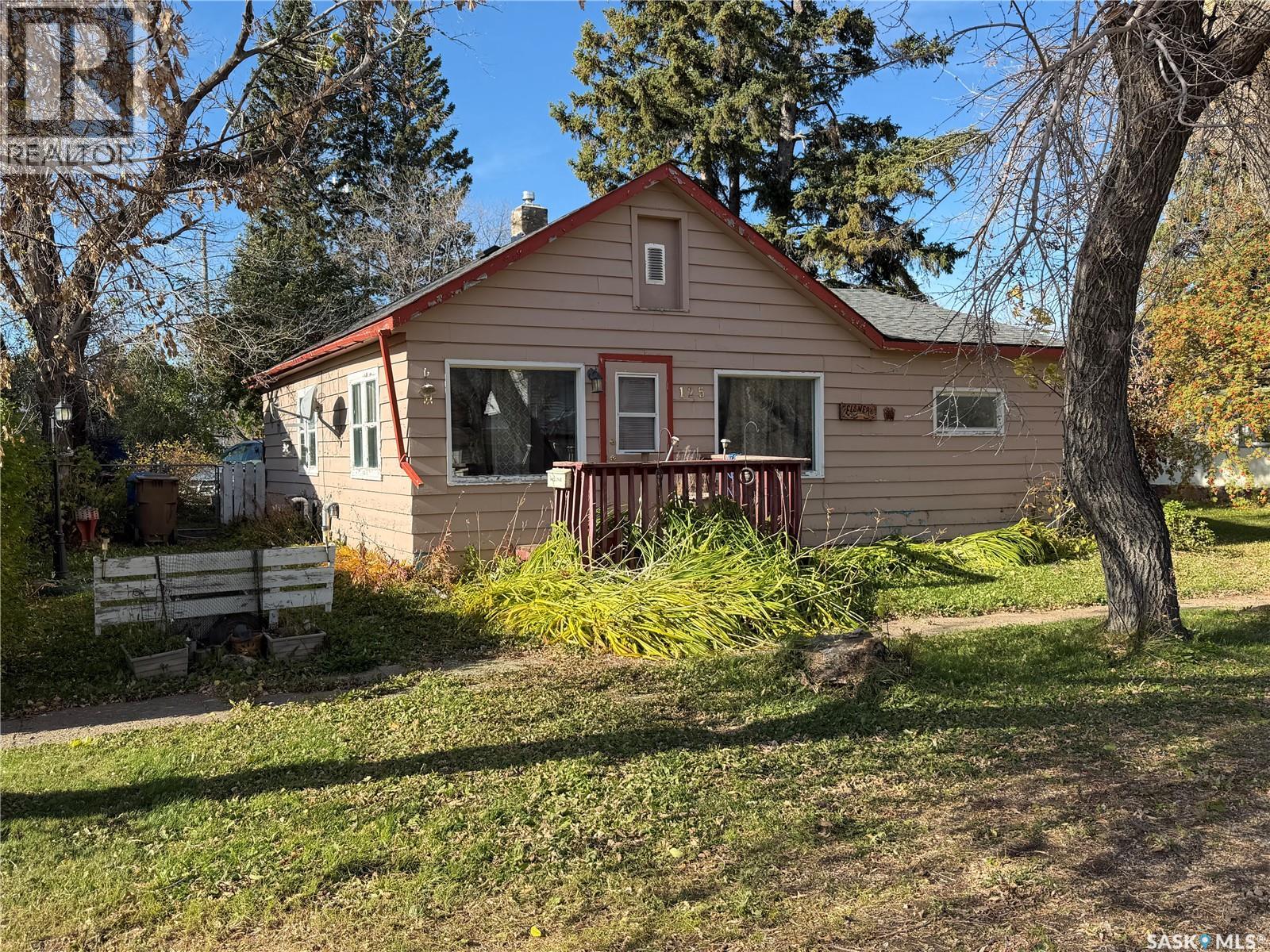 125 5th Street, Star City, Saskatchewan  S0E 1P0 - Photo 3 - SK051341