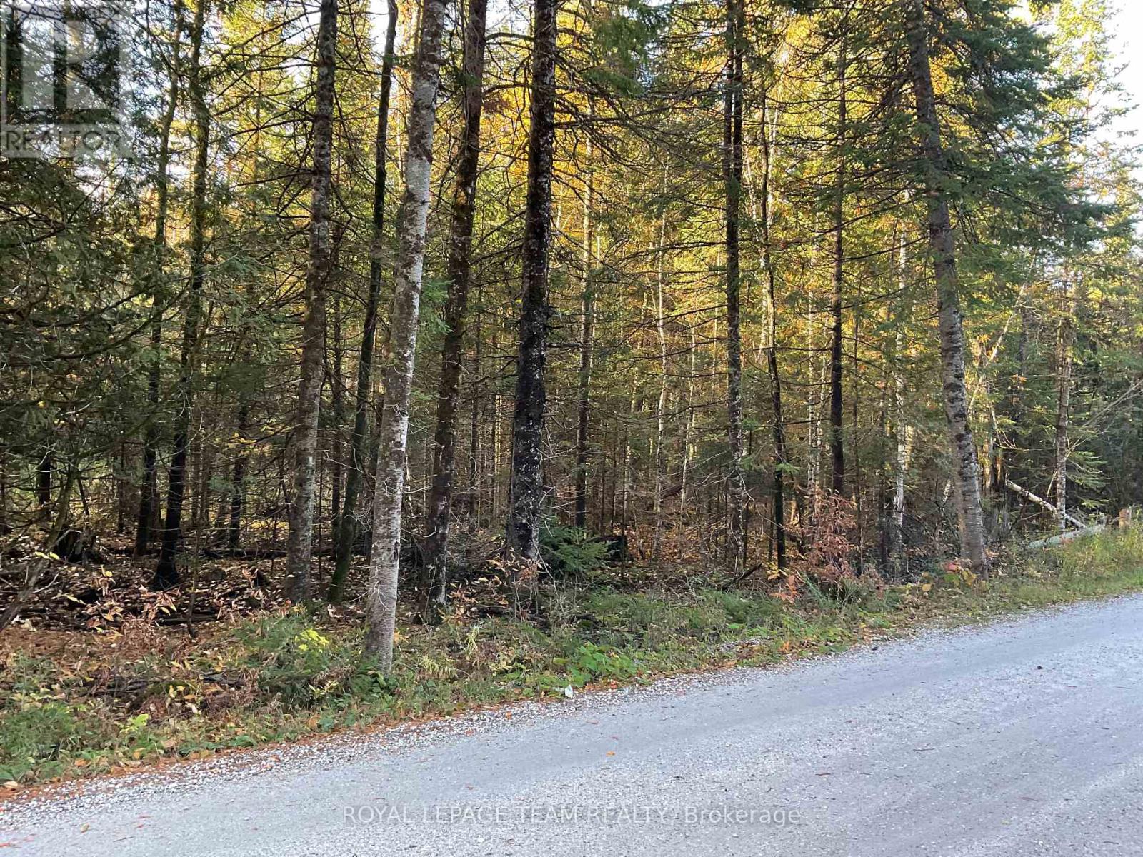 939 Darling Road, Lanark Highlands, Ontario  K0A 1P0 - Photo 6 - X14093470