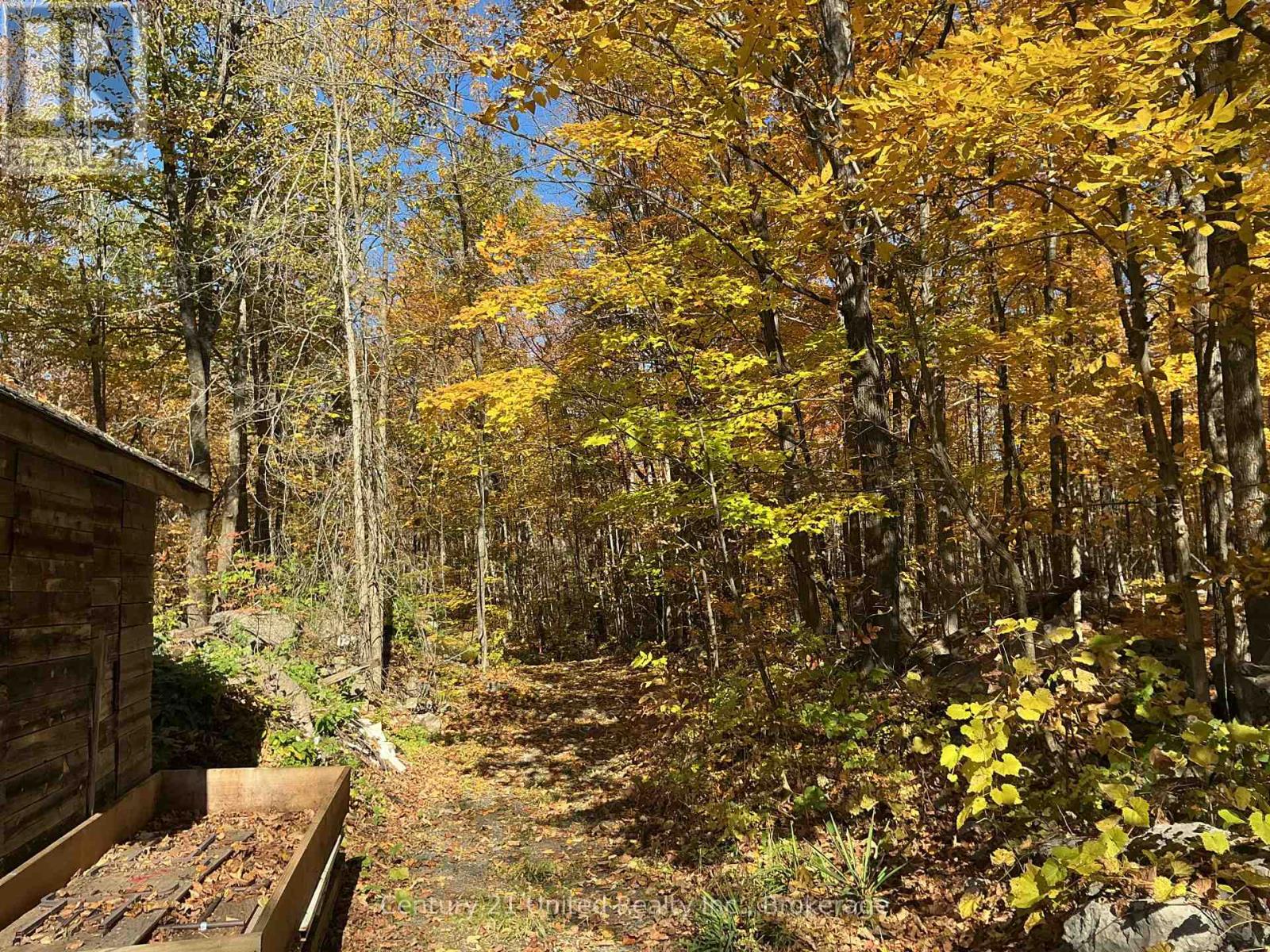 351 Station Road, Marmora And Lake, Ontario  K0K 2M0 - Photo 28 - X14093714
