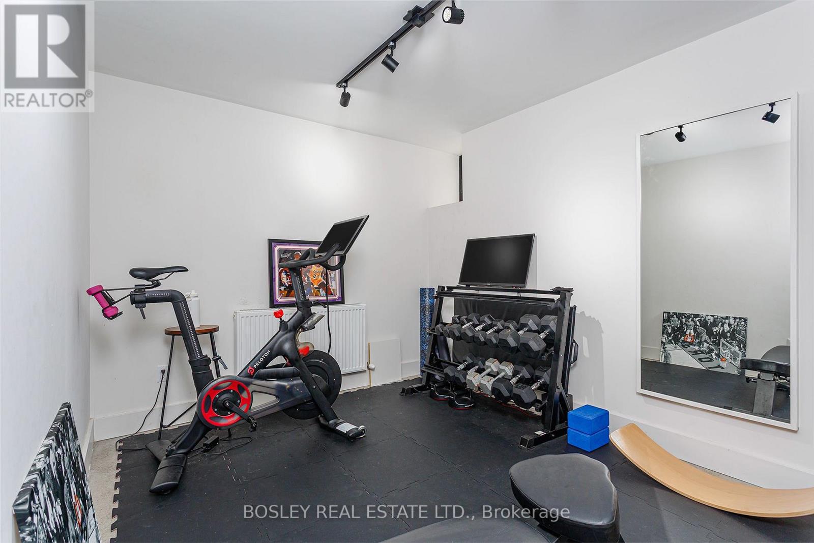 248 Havelock Street, Toronto (Dufferin Grove), Ontario  M6H 3B9 - Photo 16 - C14093730