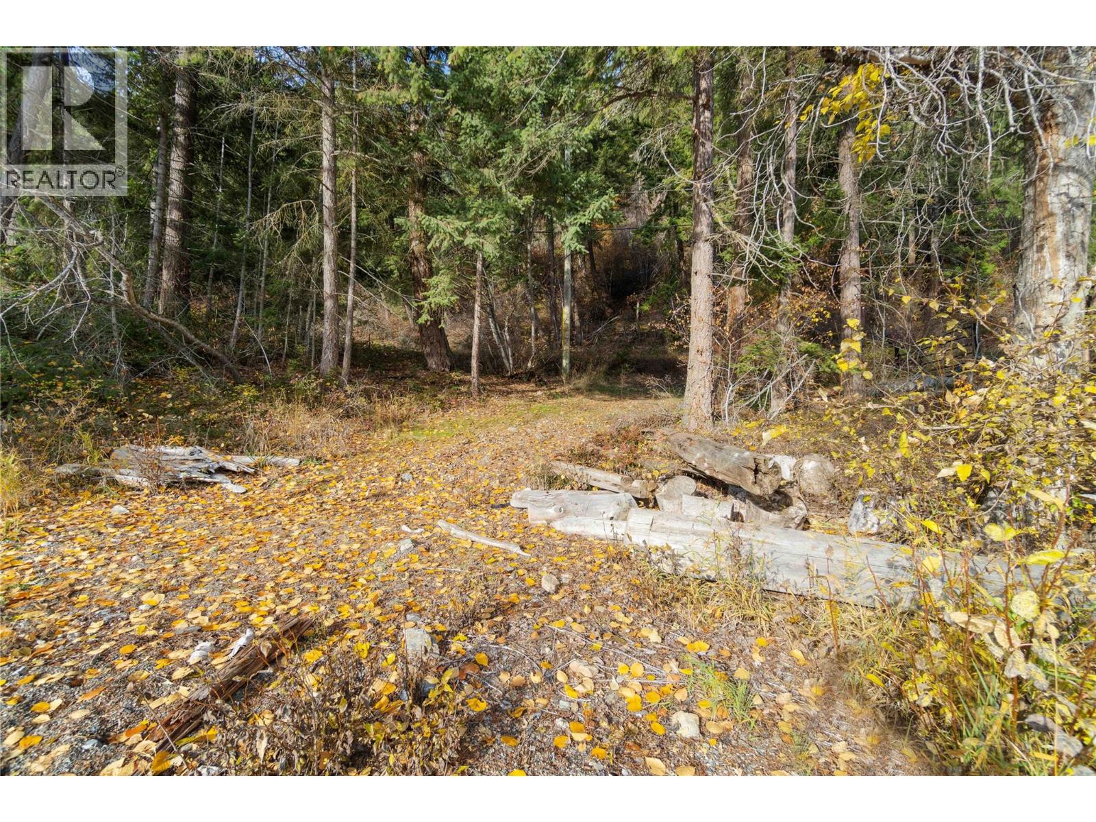 Lot 3 Sunnybrae Canoe Point Road, Tappen, British Columbia  V0E 2X1 - Photo 35 - 10403345