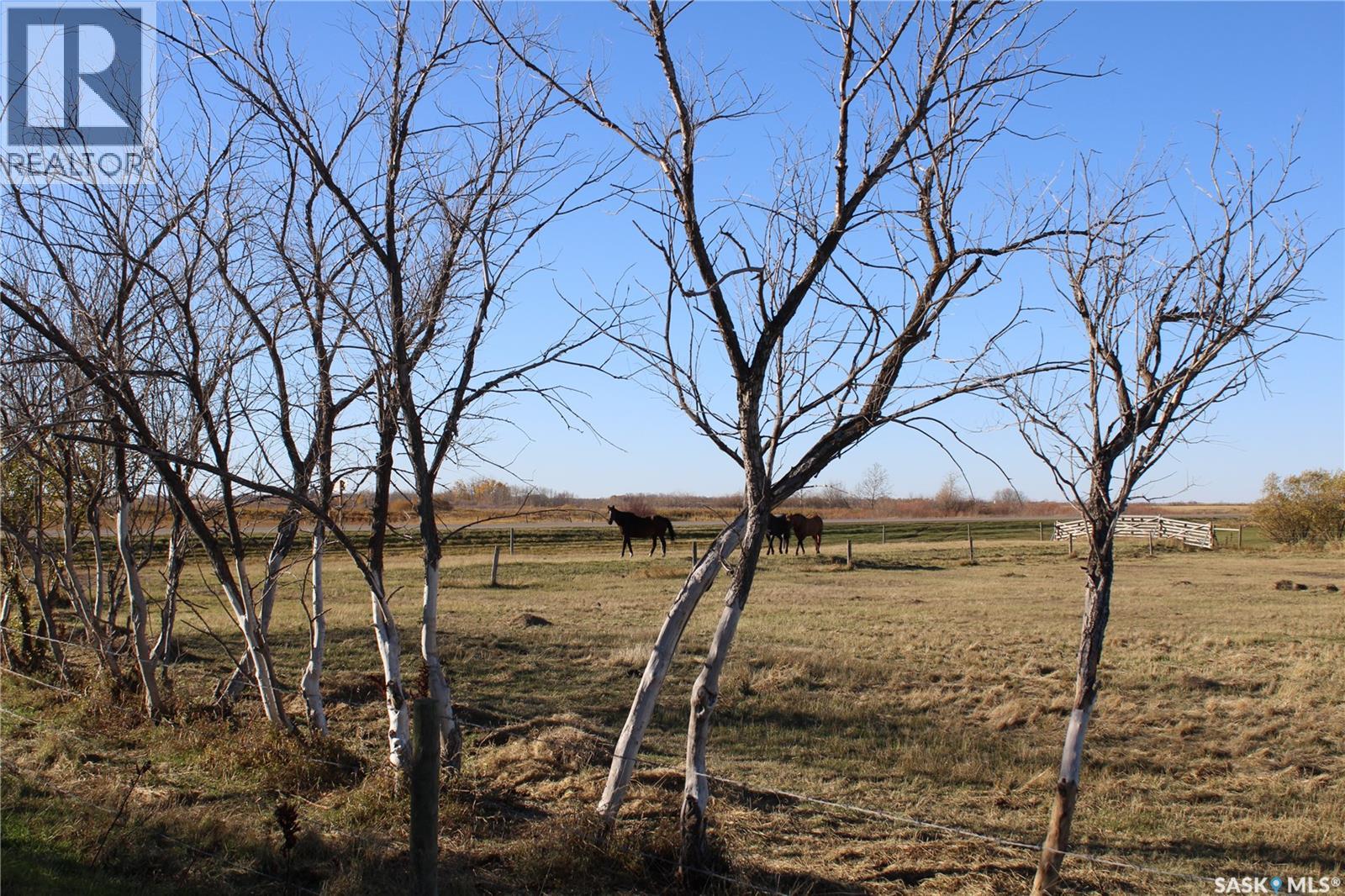 Rm Of Orkney, Orkney Rm No. 244, Saskatchewan  S0A 3W1 - Photo 43 - SK051418