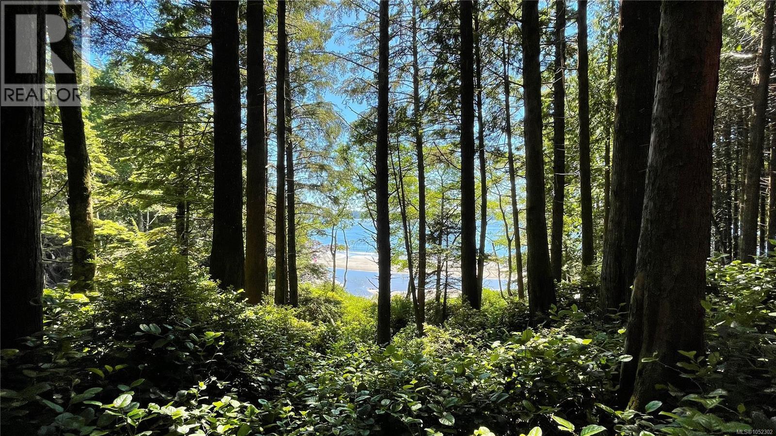 340 Tonquin Park Rd, Tofino, British Columbia  V0R 2Z0 - Photo 17 - 1052302