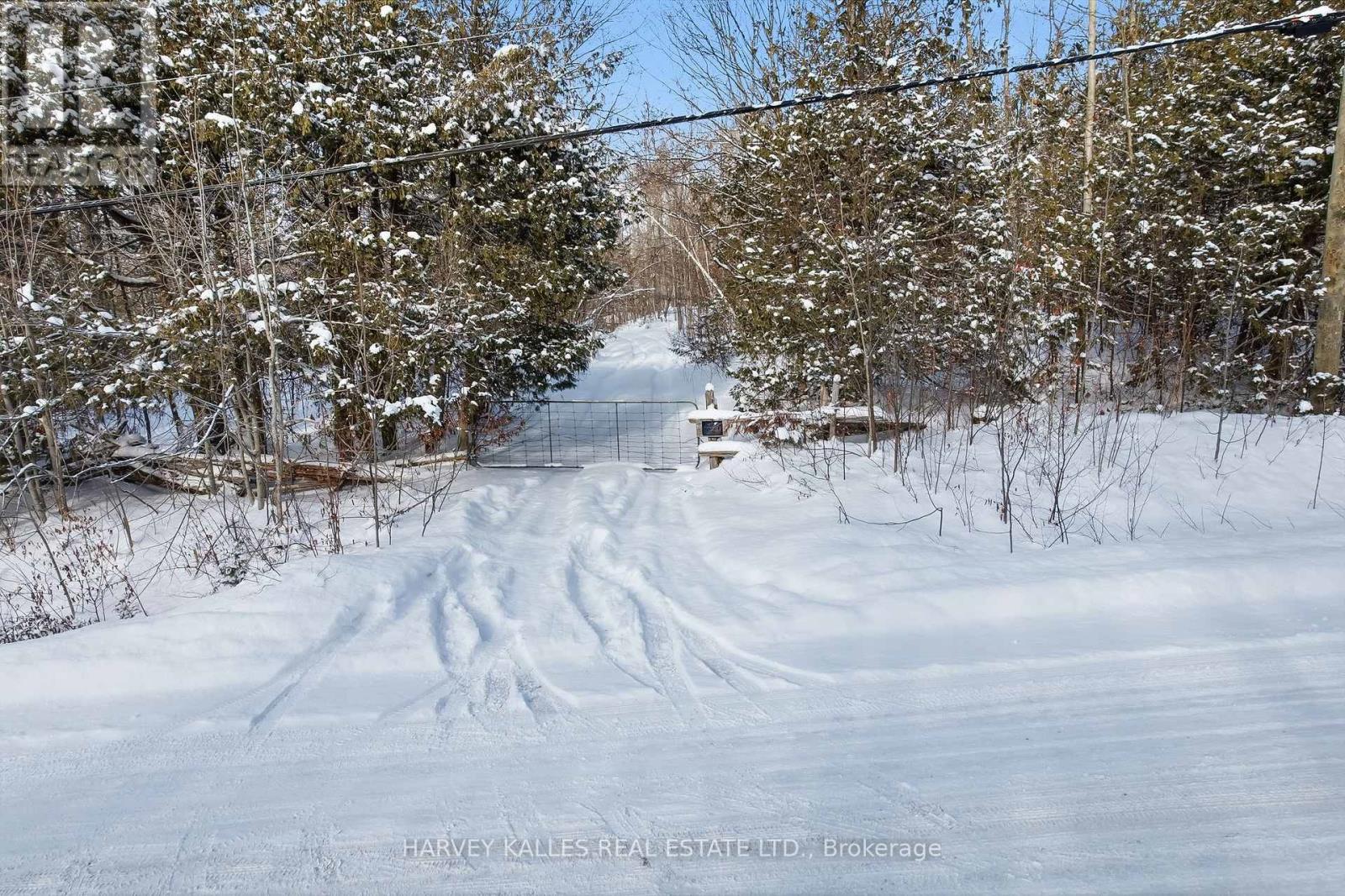 3020 Finley Road, Selwyn, Ontario K0L 2H0 - Photo 11 - X13197956