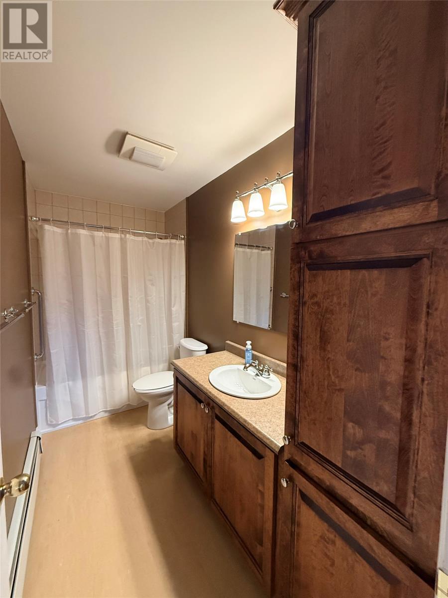 4 Cartwright Street, Grand Falls-Windsor — photo 19