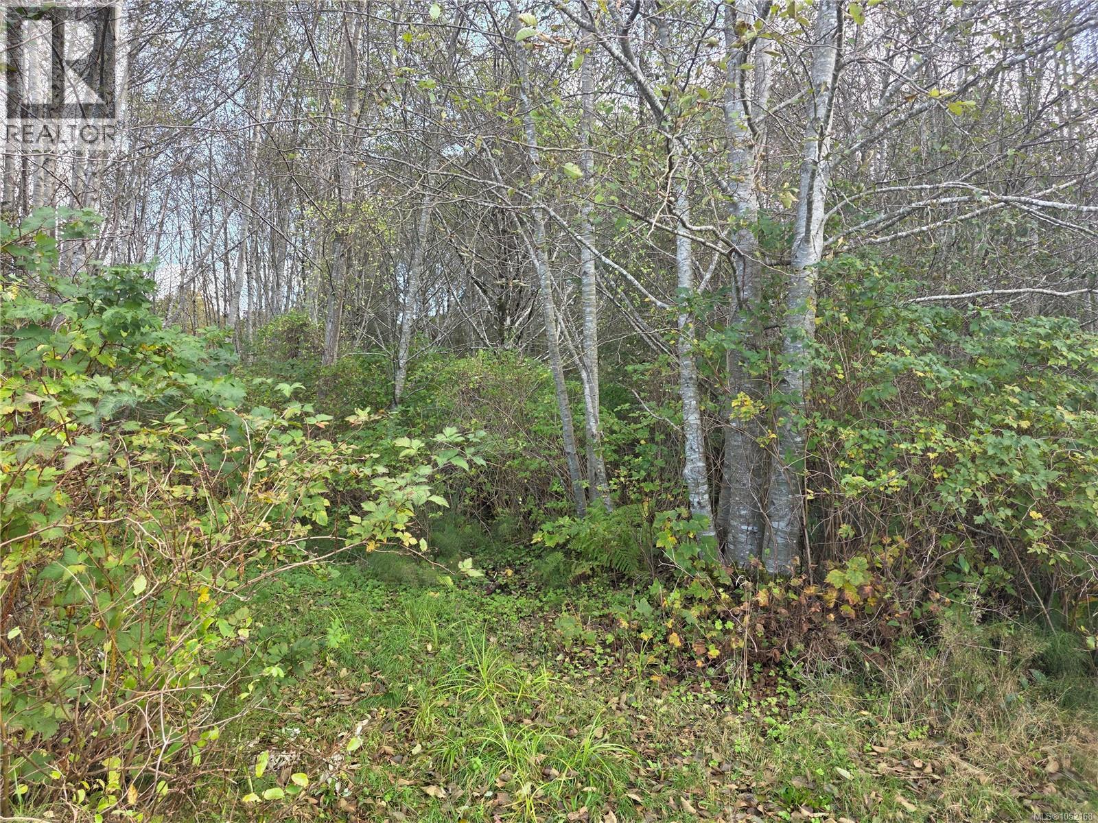 2015 Mcneill Rd, Port Mcneill, British Columbia  V0N 2R0 - Photo 4 - 1052168
