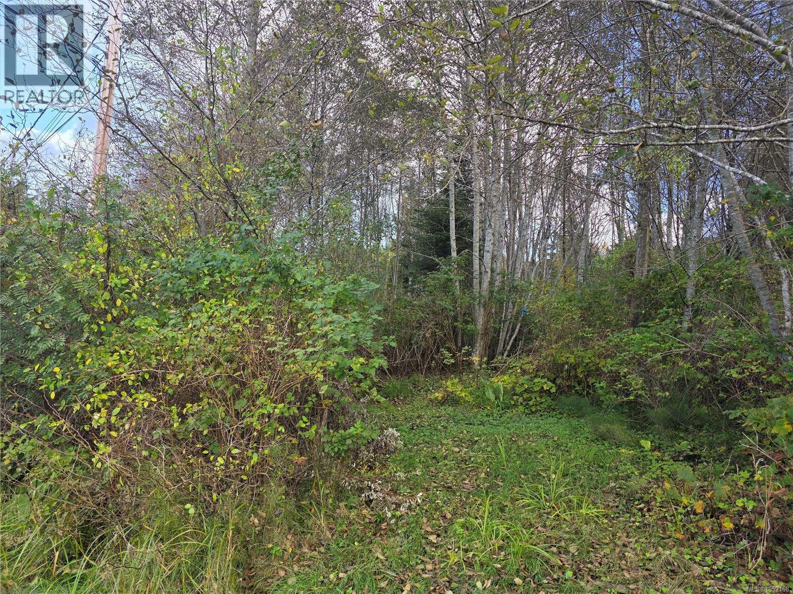 2015 Mcneill Rd, Port Mcneill, British Columbia  V0N 2R0 - Photo 5 - 1052168