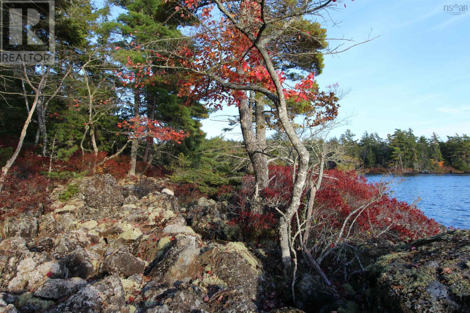 Lot 62 Sand Cove Rd (Portion Of), Westfield, Nova Scotia  B0T 1B0 - Photo 13 - 202625991