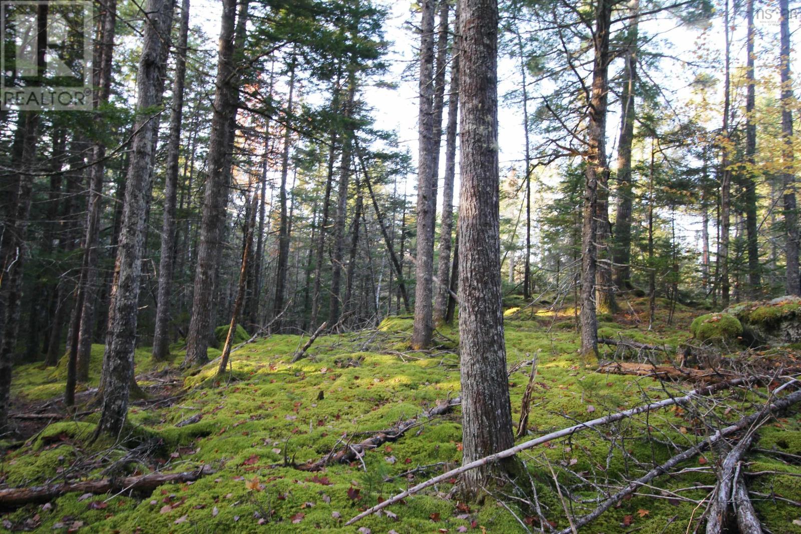 Lot 62 Sand Cove Rd (Portion Of), Westfield, Nova Scotia  B0T 1B0 - Photo 8 - 202625991