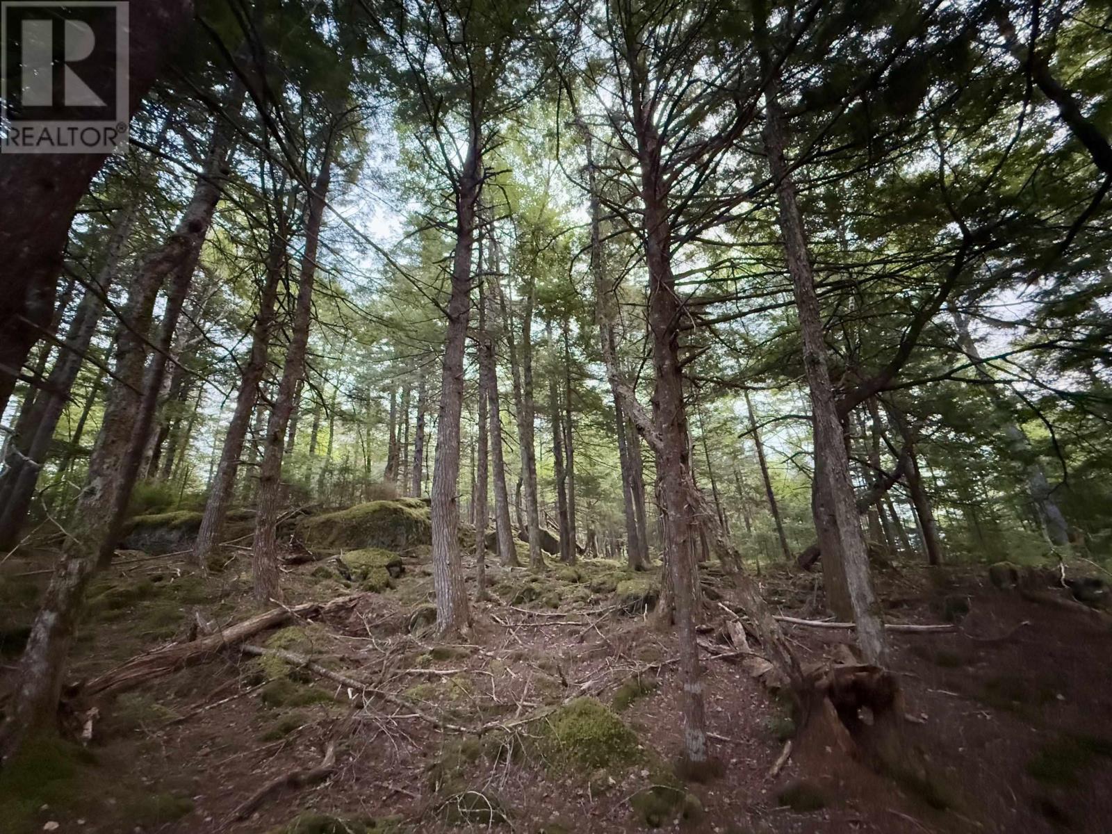 Lot 62 Sand Cove Rd (Portion Of), Westfield, Nova Scotia  B0T 1B0 - Photo 14 - 202625991