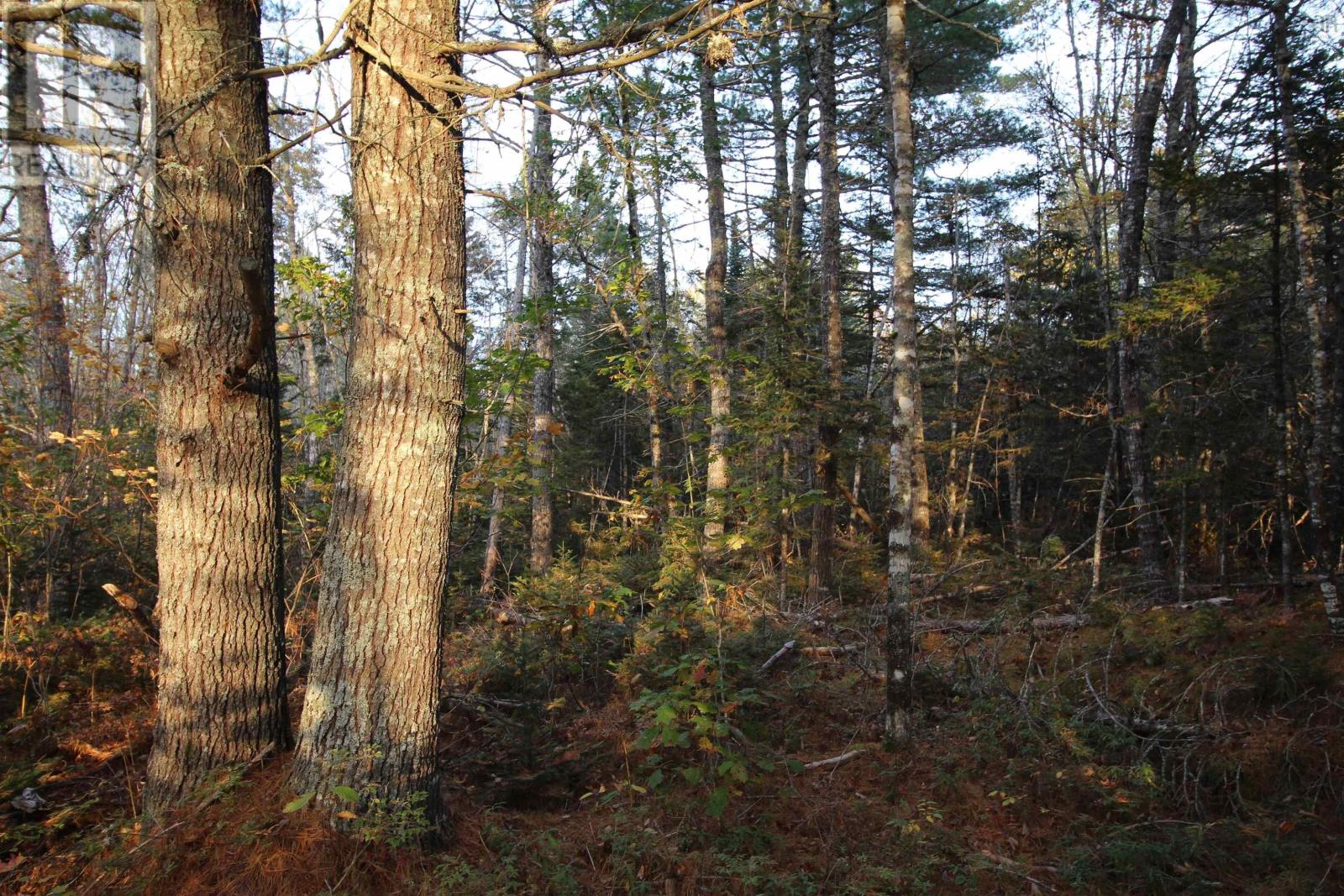 Lot 62 Sand Cove Rd (Portion Of), Westfield, Nova Scotia  B0T 1B0 - Photo 1 - 202625993