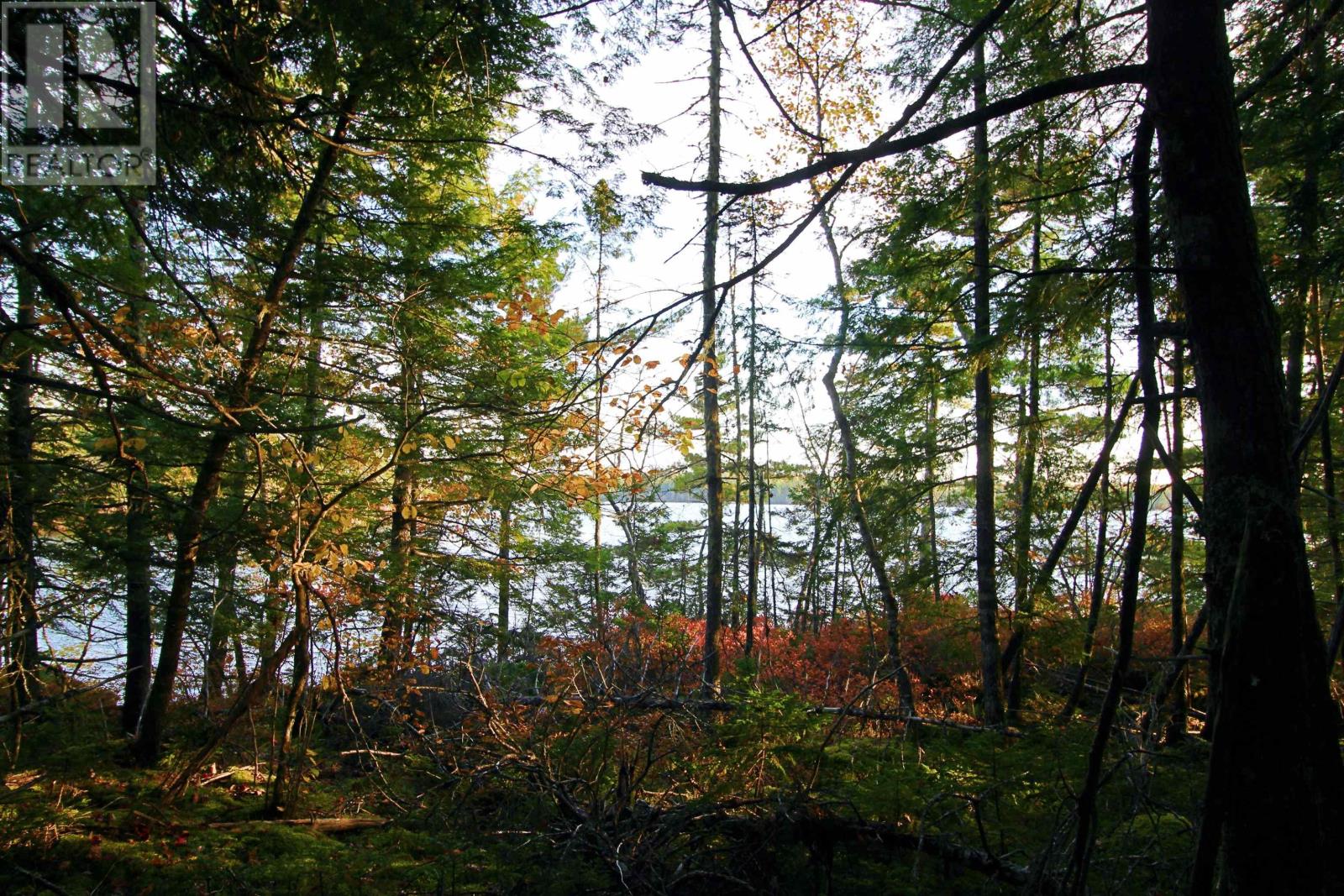Lot 62 Sand Cove Rd (Portion Of), Westfield, Nova Scotia  B0T 1B0 - Photo 4 - 202625991