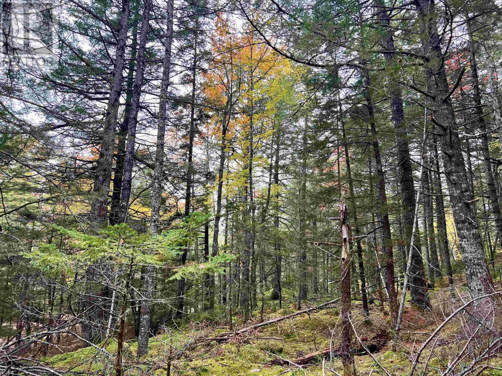 Lot 62 Sand Cove Rd (Portion Of), Westfield, Nova Scotia  B0T 1B0 - Photo 2 - 202625993