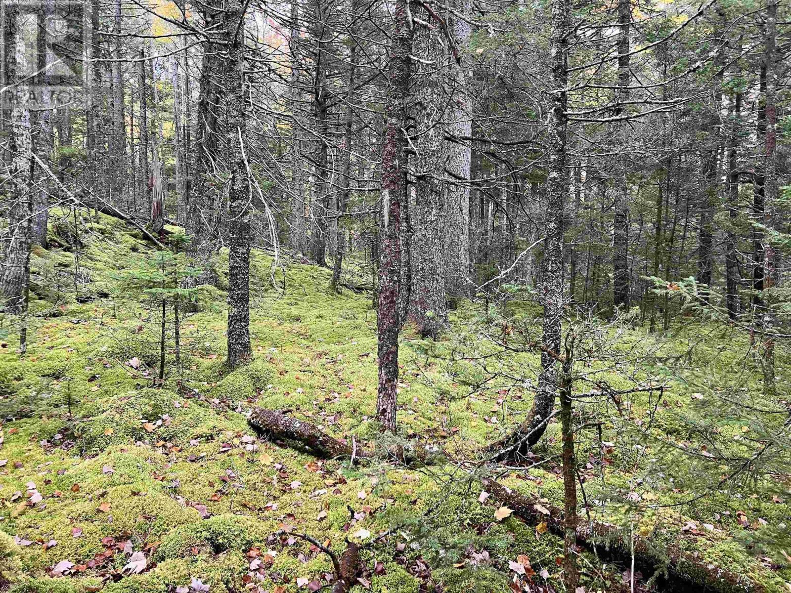 Lot 62 Sand Cove Rd (Portion Of), Westfield, Nova Scotia  B0T 1B0 - Photo 6 - 202625993