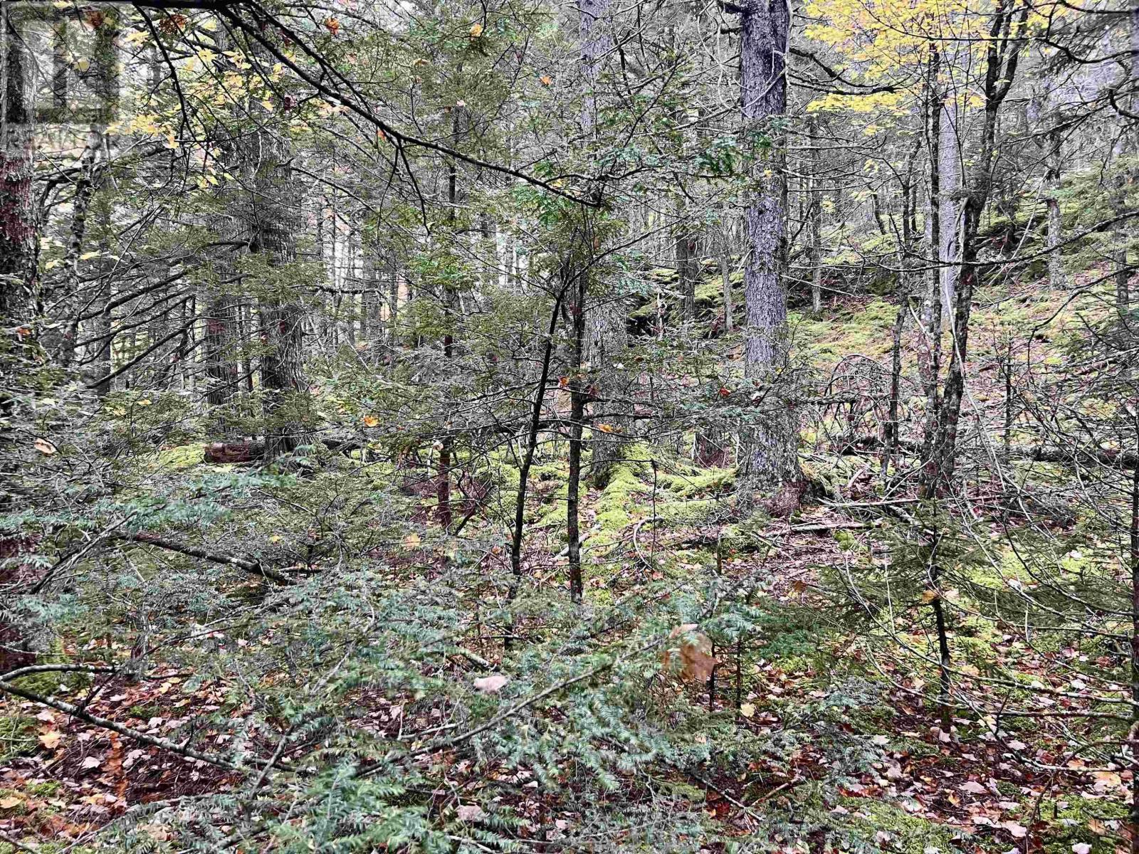 Lot 62 Sand Cove Rd (Portion Of), Westfield, Nova Scotia  B0T 1B0 - Photo 7 - 202625993