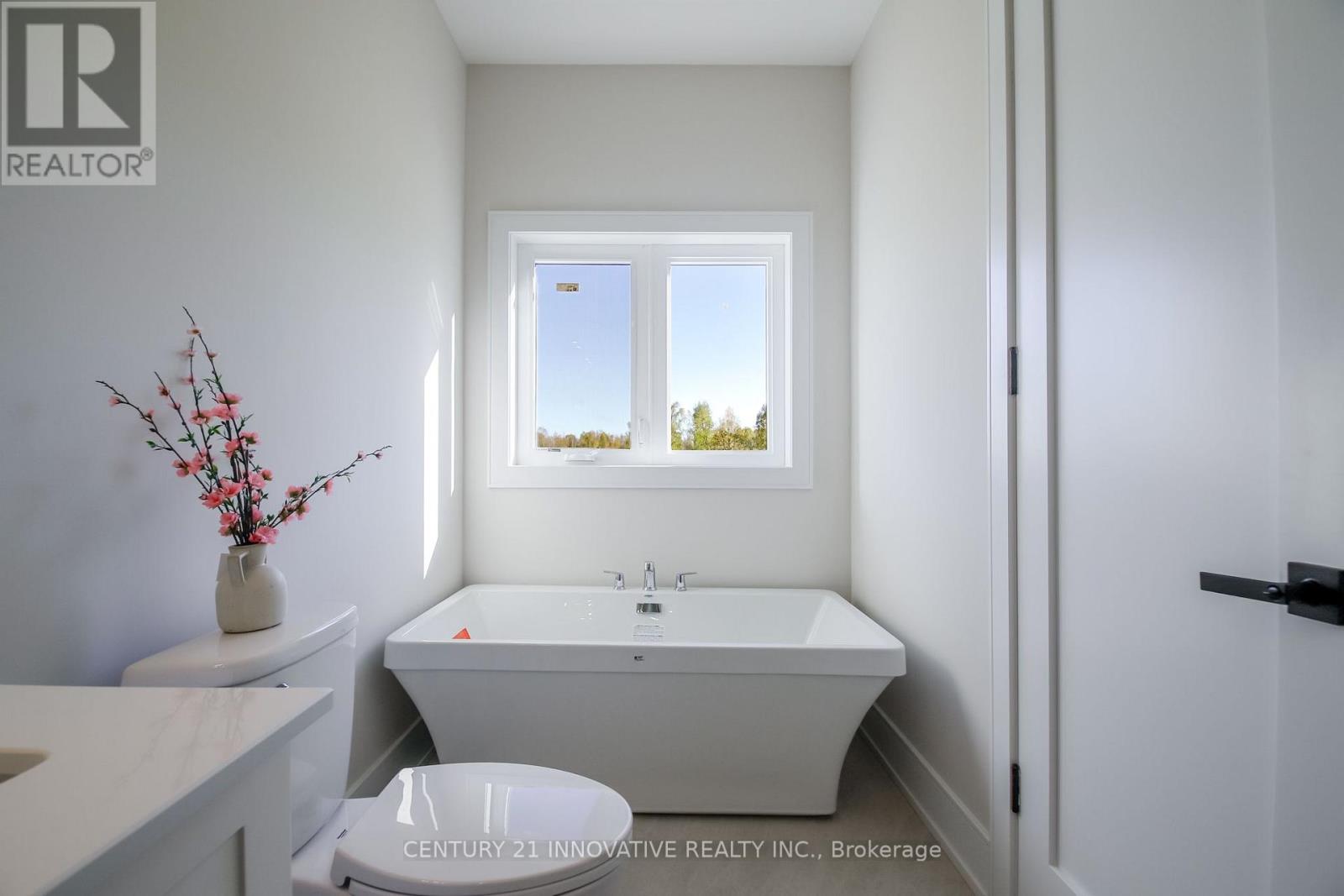9545 Morning Glory Road, Georgina, Ontario  L0E 1N0 - Photo 32 - N14088292