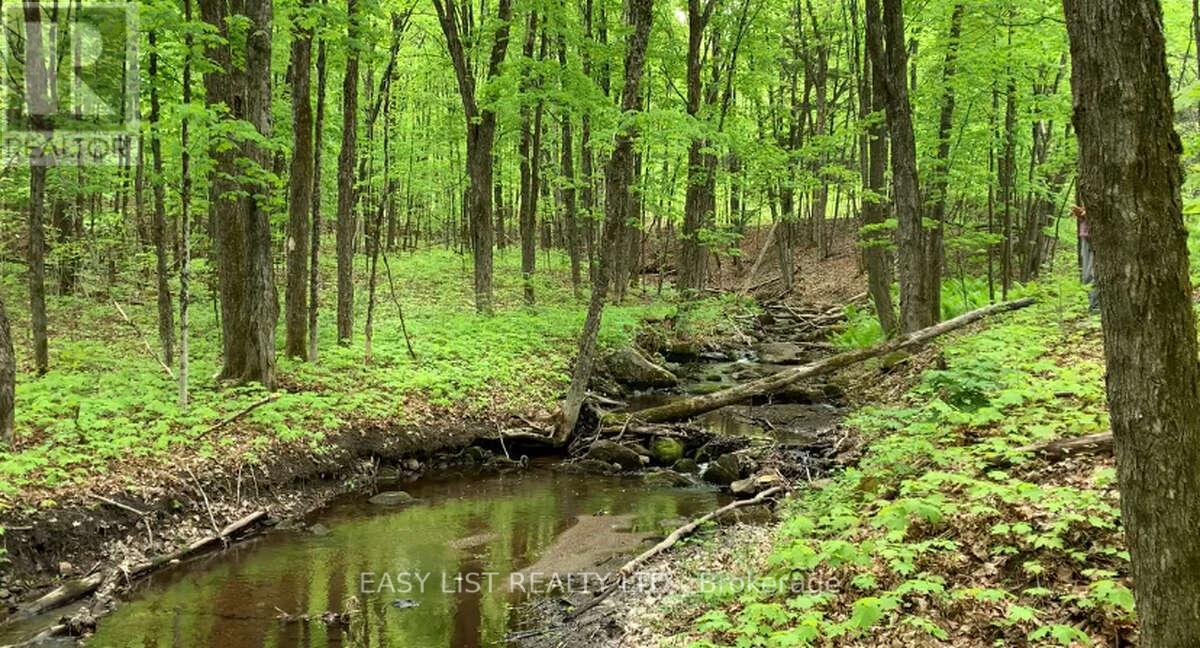 Lot 1 Colonial Road, Minden Hills, Ontario  K0M 2K0 - Photo 1 - X14094868