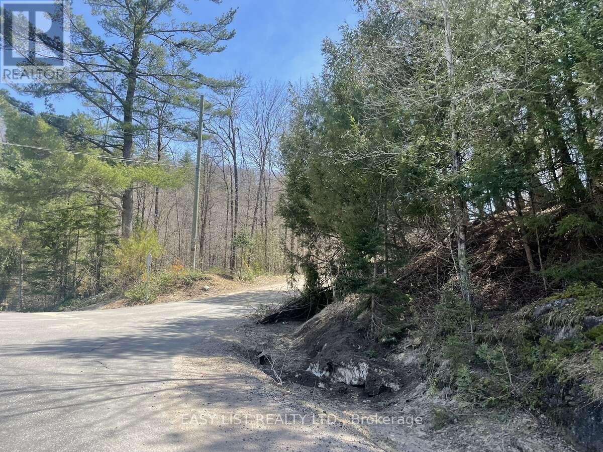 Lot 1 Colonial Road, Minden Hills, Ontario  K0M 2K0 - Photo 2 - X14094868