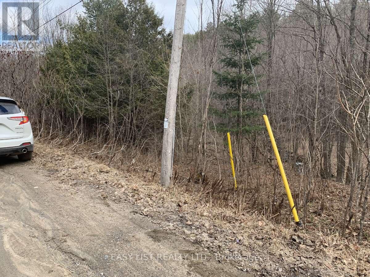 Lot 1 Colonial Road, Minden Hills, Ontario  K0M 2K0 - Photo 4 - X14094868