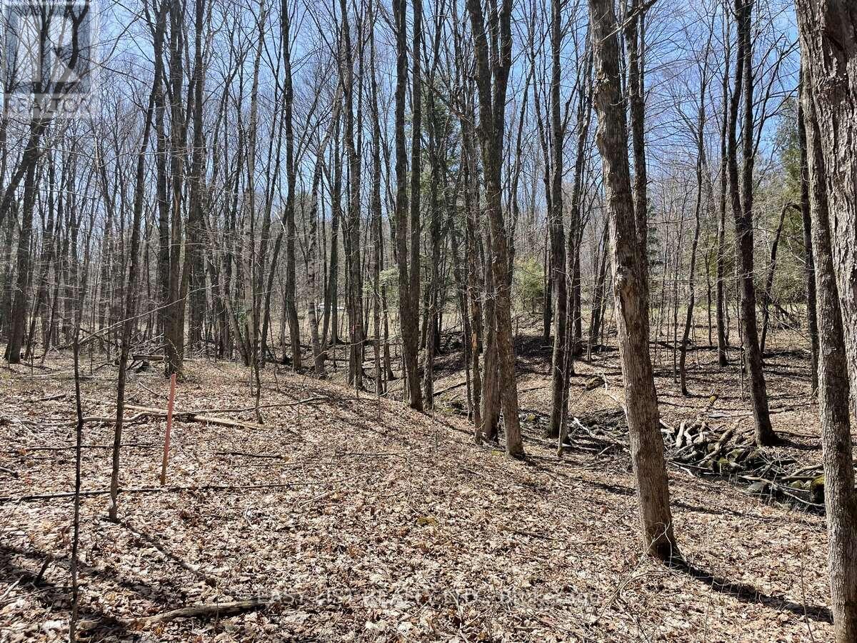 Lot 1 Colonial Road, Minden Hills, Ontario  K0M 2K0 - Photo 5 - X14094868