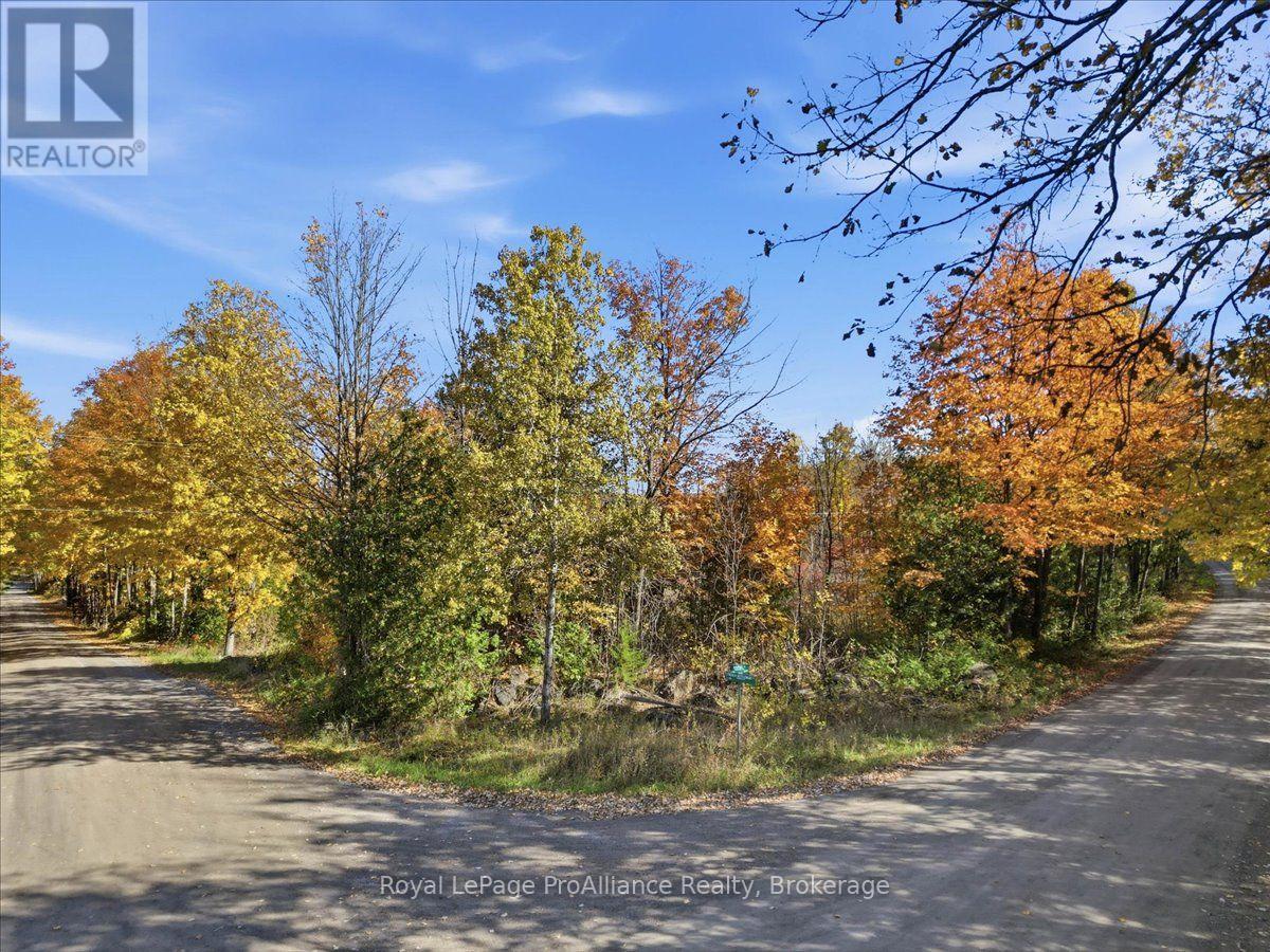 0 Rapids Road, Tweed, Ontario  K0K 3J0 - Photo 2 - X14095122