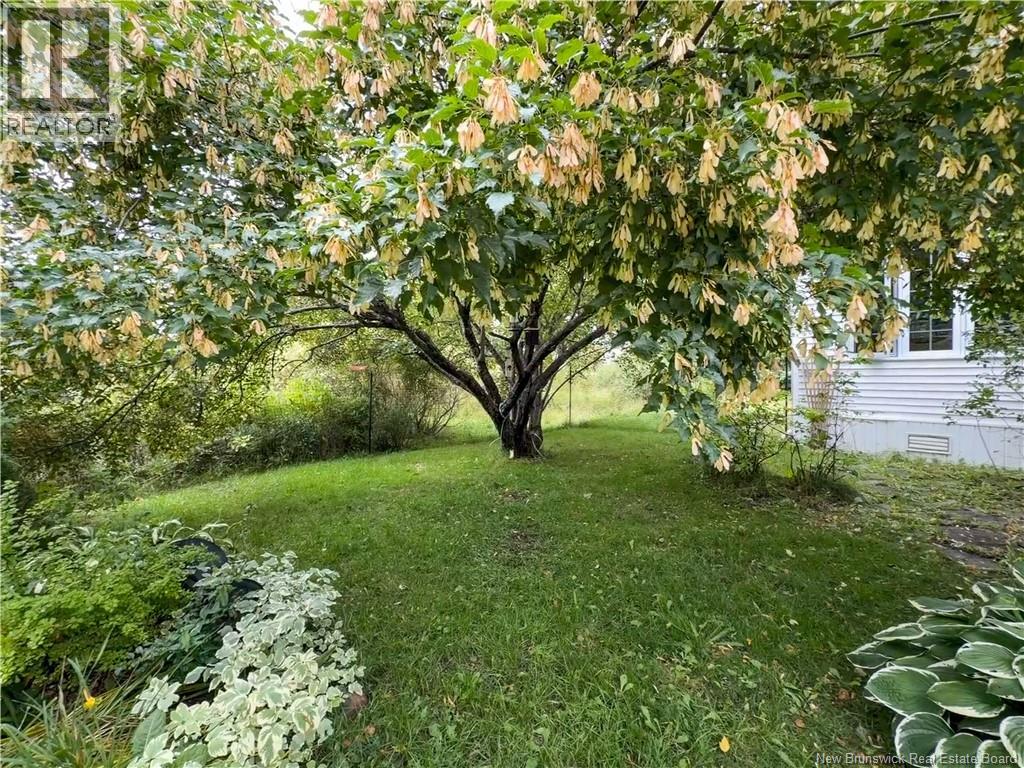 42 L'anse Street, Eel River Crossing, New Brunswick  E8E 1R4 - Photo 31 - NB148548