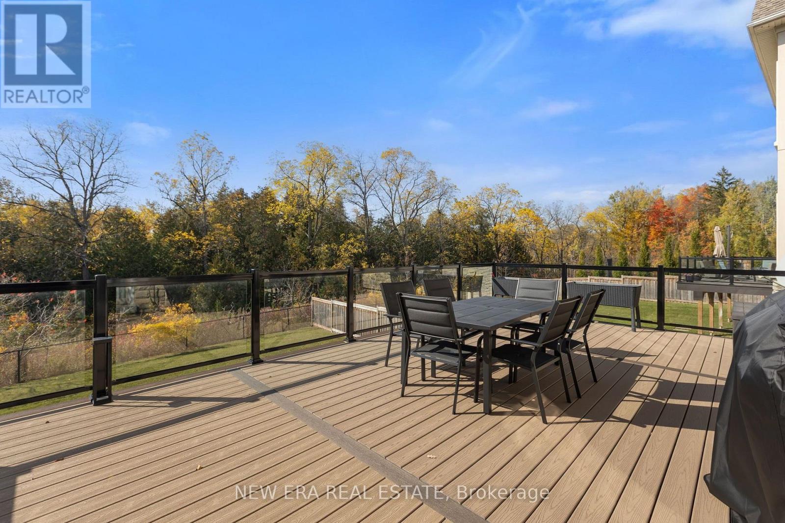 193 Lady Nadia Drive, Vaughan, Ontario  L6A 4E6 - Photo 49 - N14095430