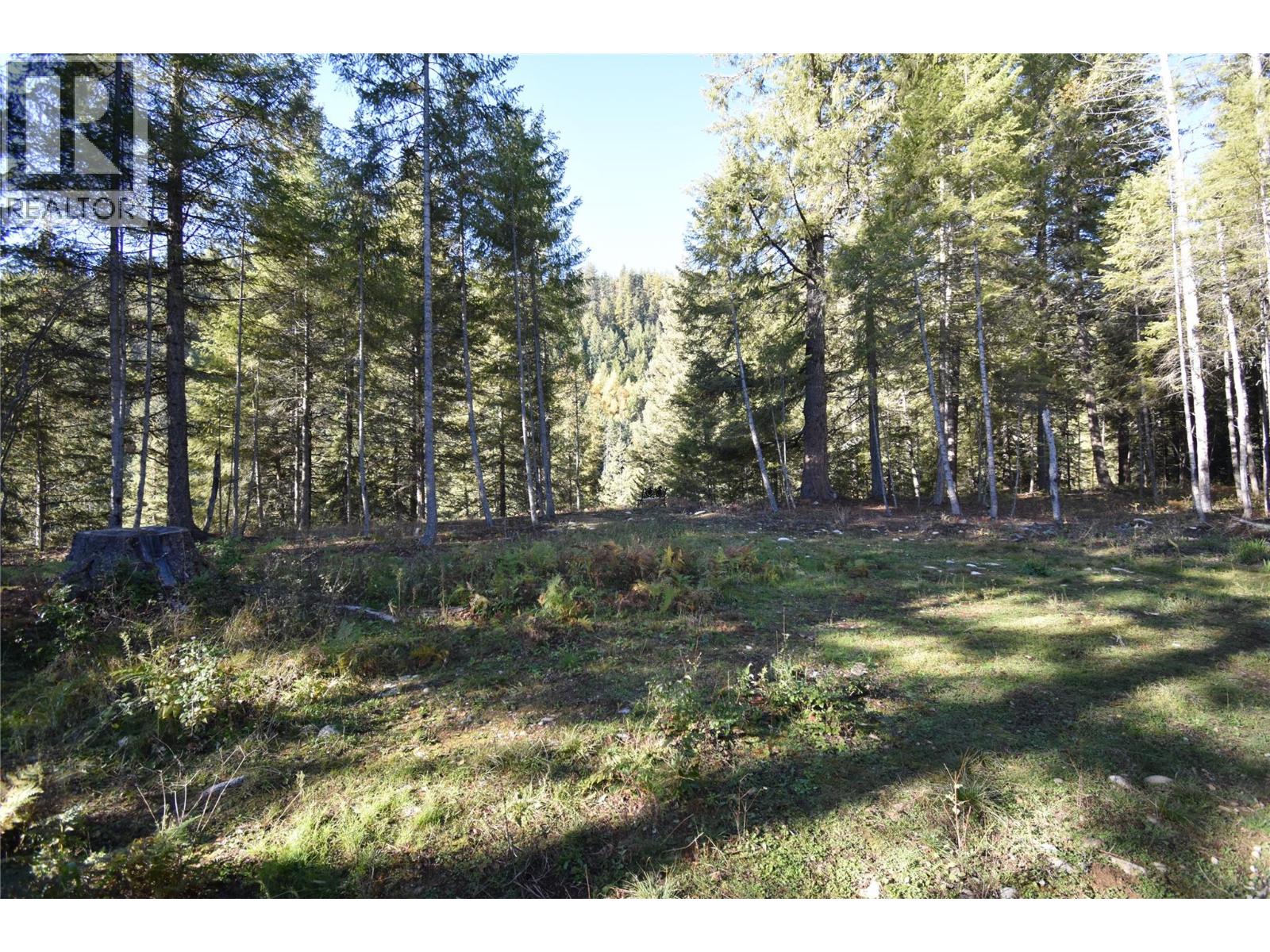 1025 Kelly Drive, Shoreacres, British Columbia  V1N 4P5 - Photo 38 - 10403903