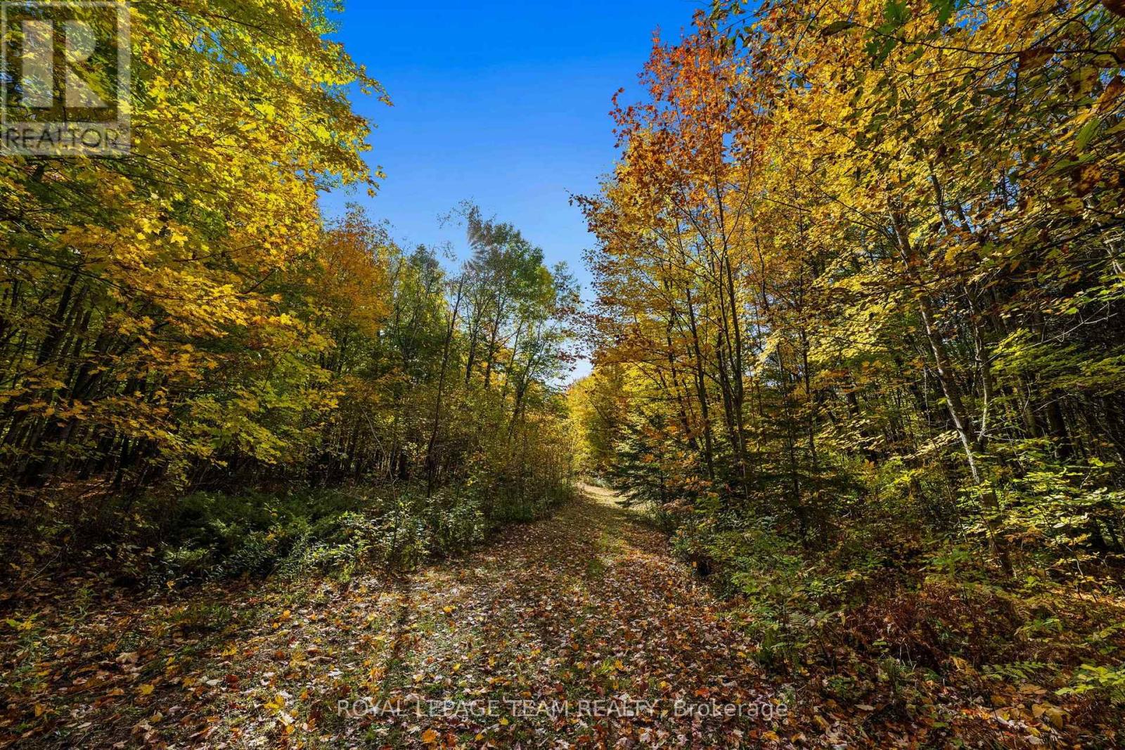 1861 Bearhill Road, Ottawa, Ontario  K0A 1L0 - Photo 11 - X14095518