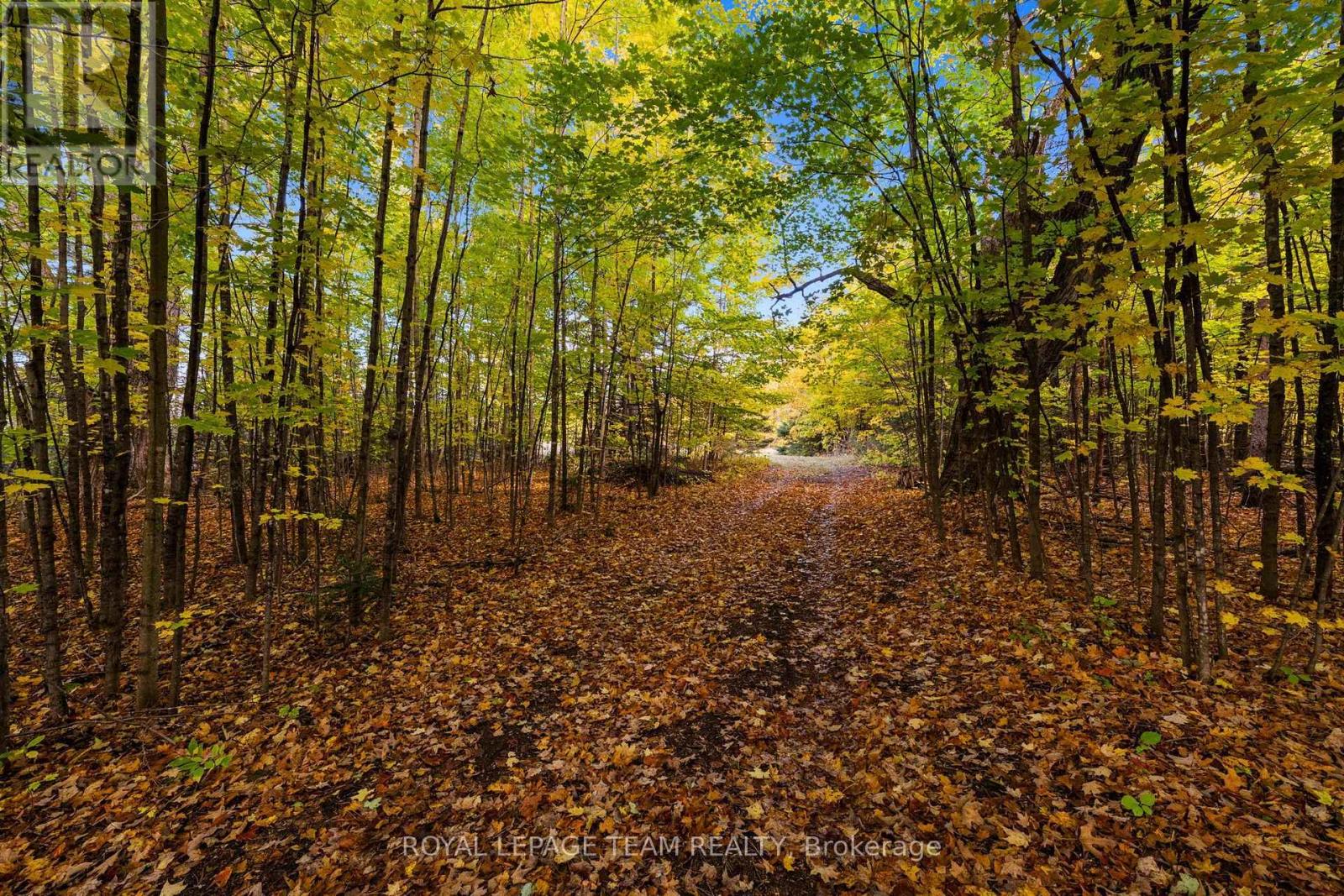 1861 Bearhill Road, Ottawa, Ontario  K0A 1L0 - Photo 12 - X14095518