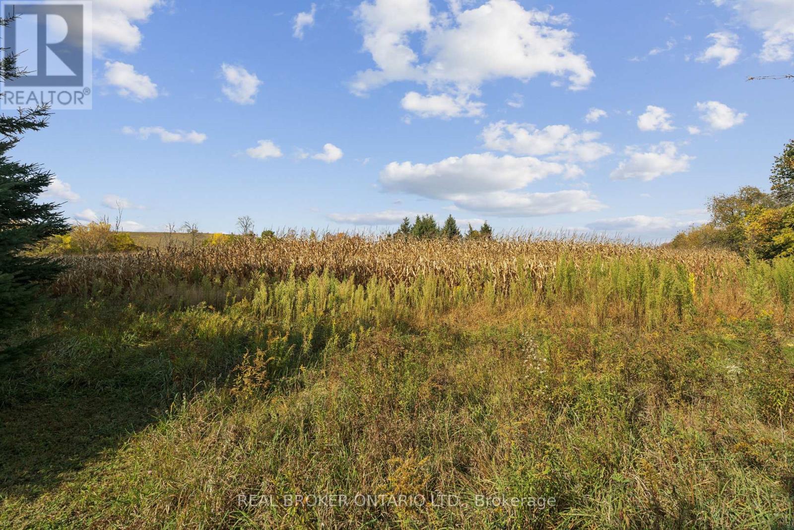 5649 25 Side Road, Milton, Ontario  L7J 2L7 - Photo 17 - W14095602
