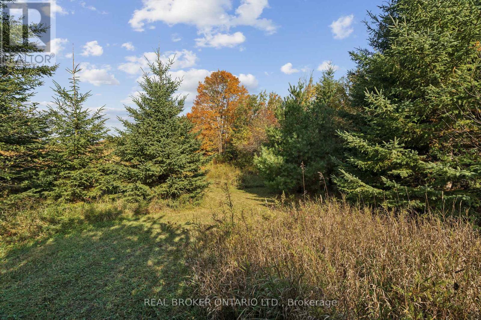 5649 25 Side Road, Milton, Ontario  L7J 2L7 - Photo 18 - W14095602